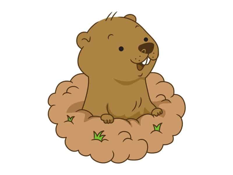 You're stuck in a Groundhog Day. What family activity are you prepared to do over and over again?